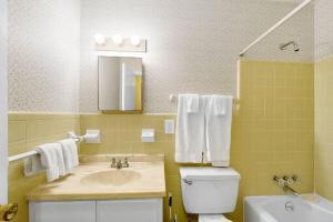 a bathroom with a sink and a toilet and a mirror at Carole Cottage in Jekyll Island +17 photos