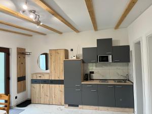 a kitchen with gray cabinets in a room at HirschRaum in Wadern
