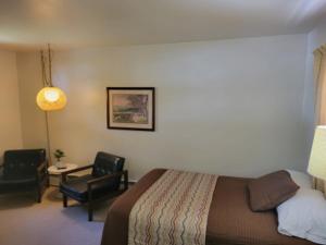 a hotel room with a bed and a chair at Amaris Inn in Redfield