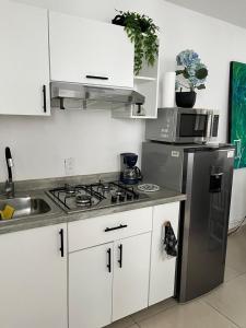 eine Küche mit Edelstahlherd und Mikrowelle in der Unterkunft Lindo y comodo Loft in Hércules