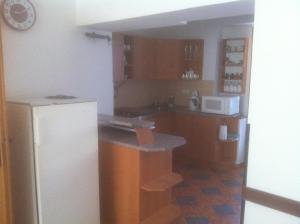 a kitchen with a white refrigerator and a counter at Penzion u Skaláků in Dolní Dunajovice