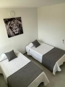 a bedroom with two beds and a picture of a tiger at Hermoso Apartamento Para Estrenar En Cartagena in Manzanillo del Mar