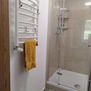 a bathroom with a shower with a glass shower door at Apartamenty u Gołębiewskich in Stara Kamienica