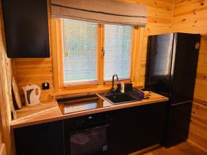 a kitchen with a sink and a window at Cisza Roztocze in Wierzchowiny