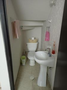 San Miguel ContlaLuxos Casa Residencial Privada的带马桶和水槽的小浴室