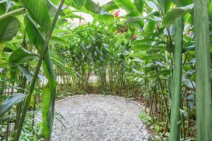 The Yucatan Playa Del Carmen, Tapestry Collection By Hilton外面的花园
