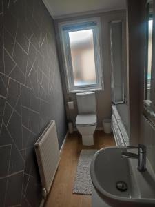 a bathroom with a toilet and a sink and a window at LUXURY LODGE WITHIN A GOLF & LEISURE CLUb in Wisbech