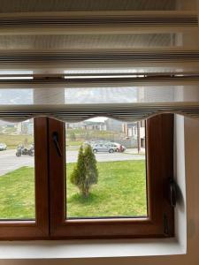 a window with a view of a tree in the grass at Dolce apartman Zlatibor in Zlatibor