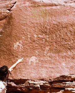 Fotografie z fotogalerie ubytování Ayla Rum Luxury Camp v destinaci Wadi Rum