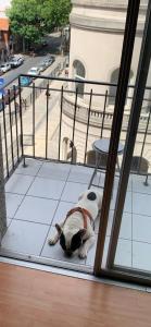 En balkon eller terrasse på Departamento con Perro + 3 billeder