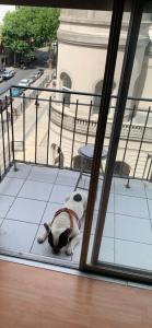 En balkon eller terrasse på Departamento con Perro