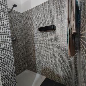 a bathroom with a shower with tiled walls at Casa Papaya19 in Sal Rei