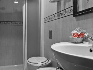 a bathroom with a shower and a toilet and a sink at La Posada del Rey in Llanes +28 photos