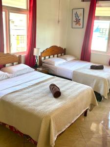 Ένα ή περισσότερα κρεβάτια σε δωμάτιο στο Rose Apartments Barbados +37 φωτογραφίες