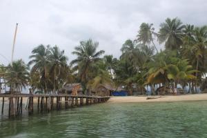 a pier on a beach with palm trees at isla de san blas in Warsobtugua