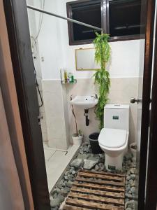 a bathroom with a toilet and a sink at Barnwood Homestay&cafe in Banaue +60 photos