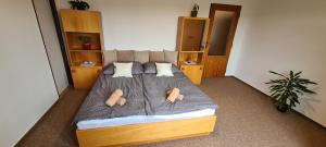 Postel nebo postele na pokoji v ubytování Apartmány Zelená Hora s velkou zahradou