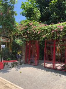 Κήπος έξω από το Red Palms