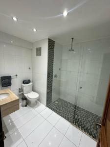 a bathroom with a shower and a toilet and a sink at Hotel Guayaquil in Santiago +2 photos