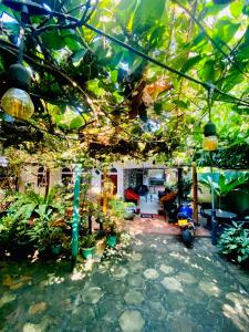 Zahrada ubytování Sheran Safari House + 37 fotografií