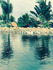 un plan d'eau avec des palmiers et un mur de pierre dans l'établissement Bently Farm Retreat Mũi Né-Premium bungalow-06, à Ấp Phú Hiệp 11 autres photos