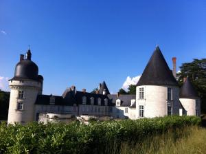 an old castle with black towers and turrets at Domaine du Mont des Chênes in Monthou-sur-Cher