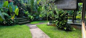 a garden with stairs and plants and a building at Dharma Suweta in Ubud