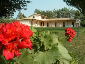 a group of red flowers in front of a house at Agriturismo Valle Martina in Saturnia