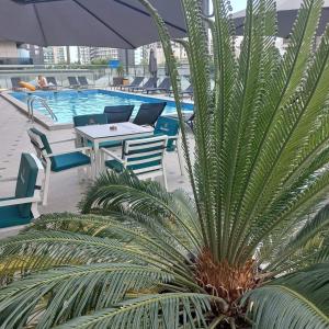 eine Palme neben einem Pool in der Unterkunft COZY studiou Mamaia Nord by Alezzi in Mamaia Nord – Năvodari + 18 Fotos