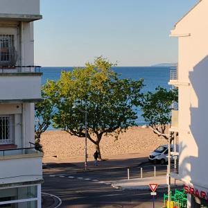 Природа в окрестностях апартаментов/квартиры