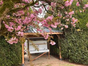 Zahrada ubytování Glamping Les Arpents Verts