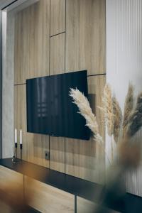 TV/Unterhaltungsangebot in der Unterkunft Baku City