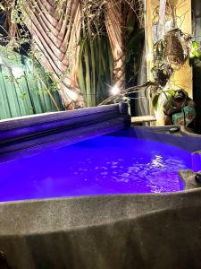 Φωτογραφία από το άλμπουμ του Tango Mango House with Private Hot Tub σε West Palm Beach