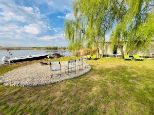 un gruppo di sedie seduti sull'erba vicino all'acqua di Tinyhouse Snagov Lake a Ciofliceni