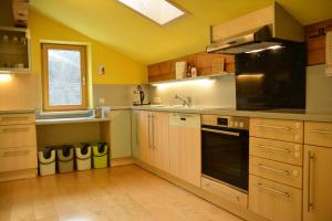 Kuchyň nebo kuchyňský kout v ubytování Ferienwohnung Ziersch