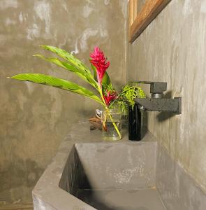 wazon z czerwonym kwiatem na zlewie w obiekcie Aurora Eco stay w mieście Weligama