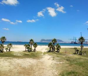 a view of a beach with palm trees and the ocean at Beachfront Studio with Private Kitchen and Bath in Algeciras