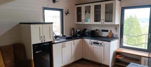 a kitchen with white cabinets and a black refrigerator at Tiny house Roman in Hostinné