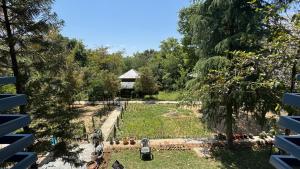 Namlang Resort外面的花园