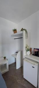 a white room with potted plants on the wall at Kalliopis Rooms in Katapola