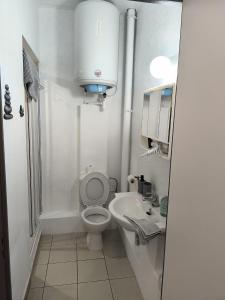 a small bathroom with a toilet and a sink at Studios COSY Dour ENGYH house 3 in Dour