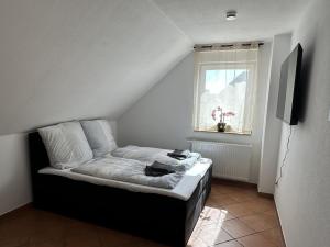 TV a/nebo společenská místnost v ubytování Gästehaus am Bach