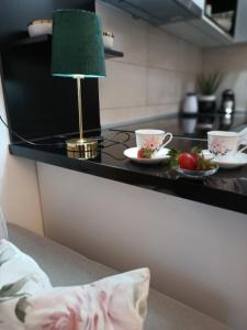 Fotografie z fotogalerie ubytování Apartmani Zoe, Jagodina, Aqvapark, K-kompleks v destinaci Trnava
