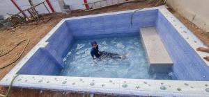 a man in a swimming pool with a dog in it at Farm House with swimming pool near Hyderabad in Wangāpalli