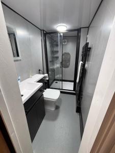 a bathroom with a shower and a toilet and a sink at The Cottage on the Rock in Barmouth +36 photos