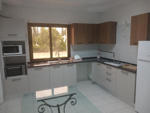 Kuchyň nebo kuchyňský kout v ubytování Special inn Lac 1 + 2 fotografie