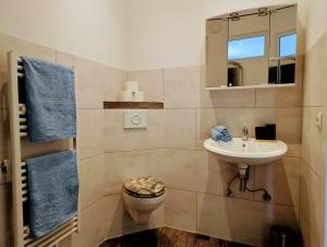 a bathroom with a sink and a toilet and a mirror at Sonniges Appartement in Ansbach in Ansbach