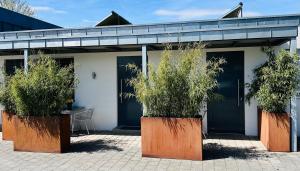 哈格瑙Campingplatz Alpenblick的两盆大锅,里面有树,在建筑前