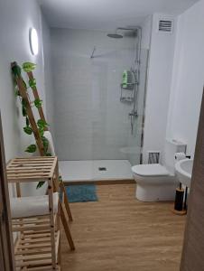a bathroom with a shower and a toilet and a sink at Habitación privada en el mismo Camino de Santiago in Caldas de Reis