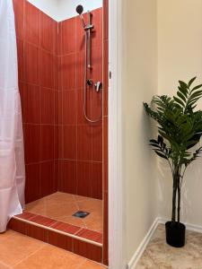a shower stall in a bathroom with a plant at KatalinKert Apartman 13 in Győr